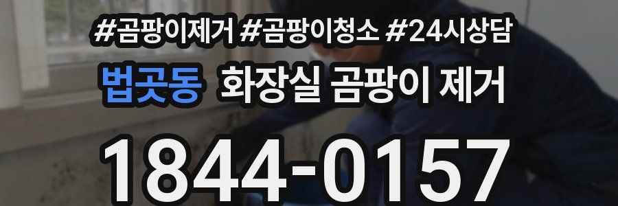 법곳동 화장실 곰팡이 제거