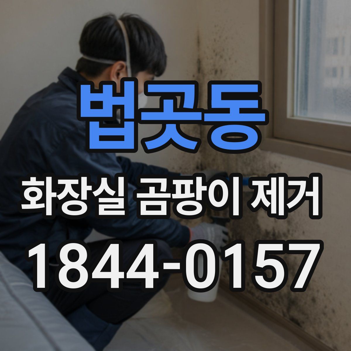 법곳동 화장실 곰팡이 제거