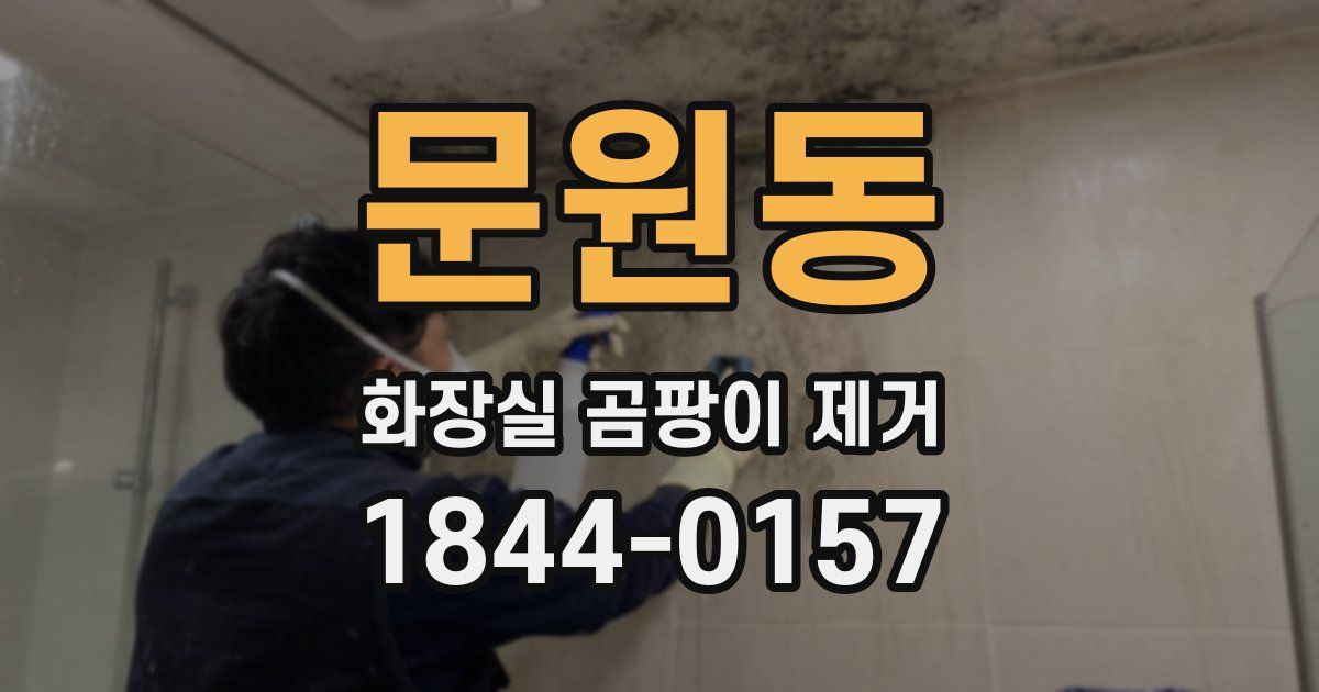 문원동 화장실 곰팡이 제거