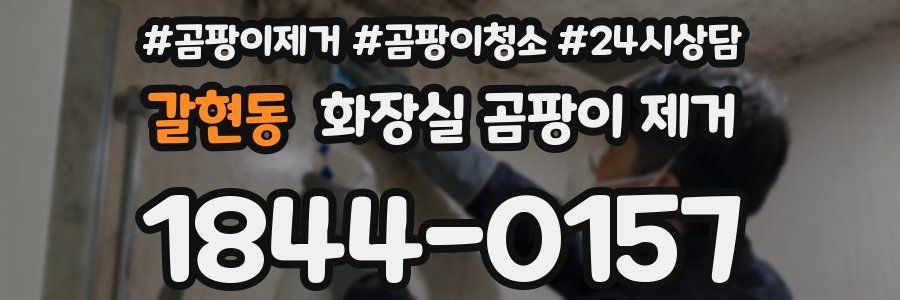 갈현동 화장실 곰팡이 제거