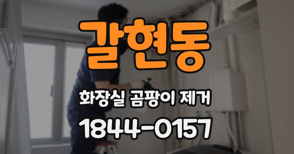 갈현동 화장실 곰팡이 제거