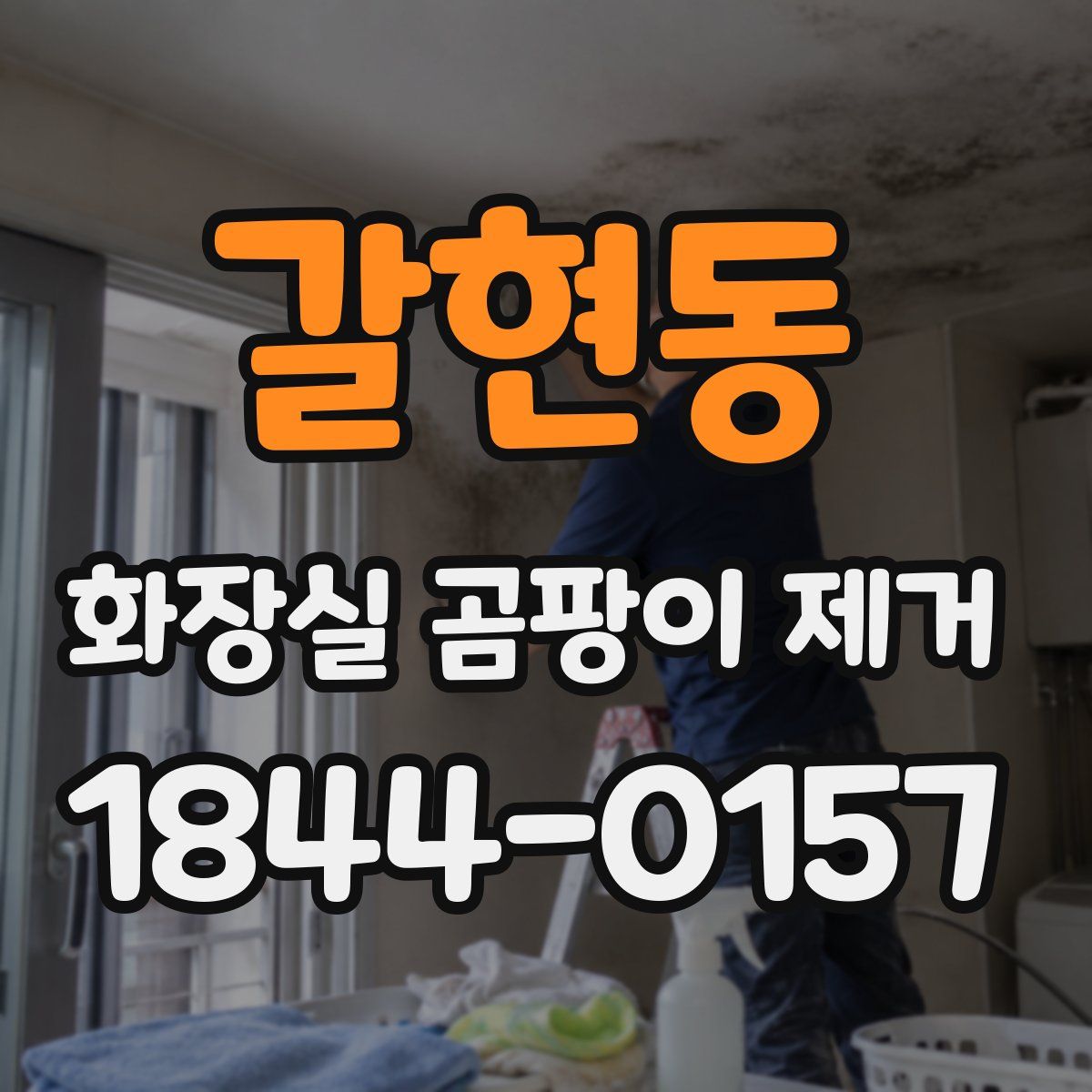 갈현동 화장실 곰팡이 제거