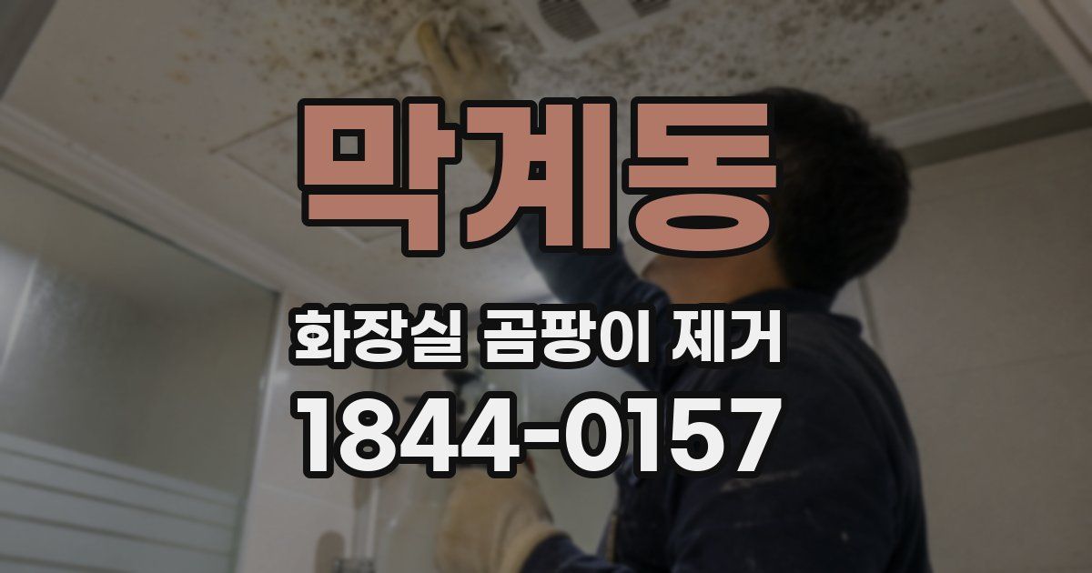 막계동 화장실 곰팡이 제거