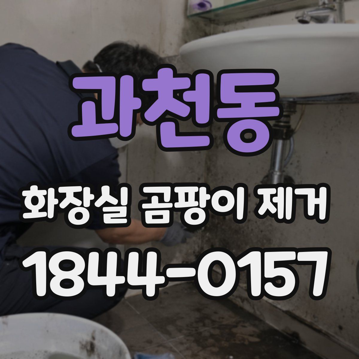 과천동 화장실 곰팡이 제거