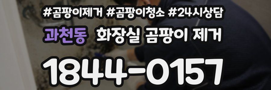 과천동 화장실 곰팡이 제거