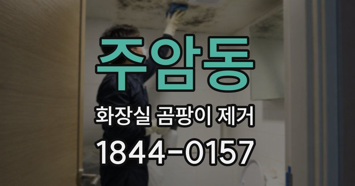 주암동 화장실 곰팡이 제거