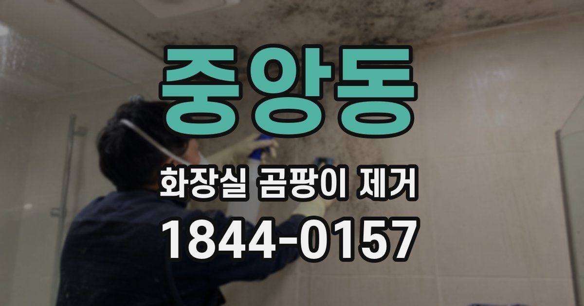 중앙동 화장실 곰팡이 제거