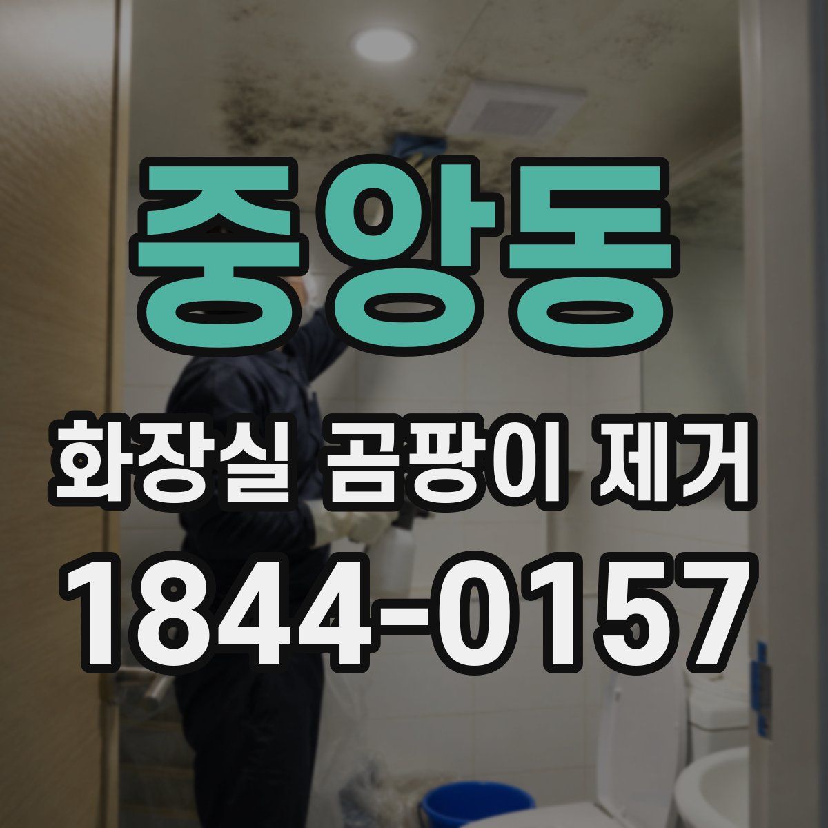 중앙동 화장실 곰팡이 제거