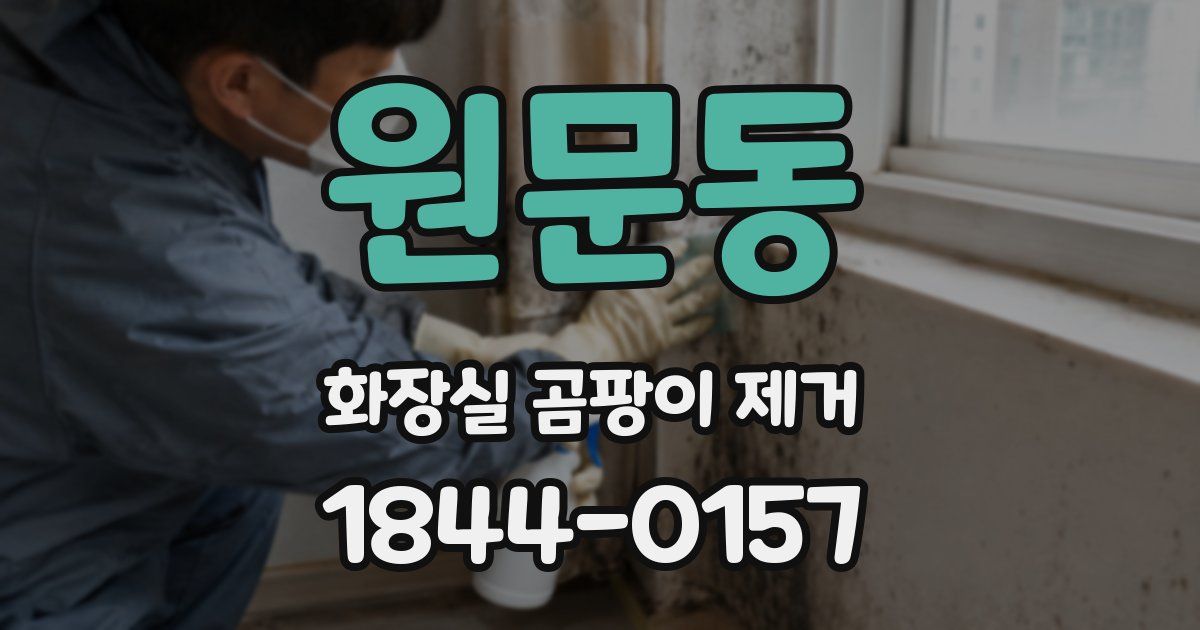 원문동 화장실 곰팡이 제거