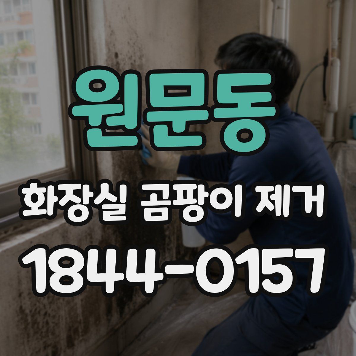 원문동 화장실 곰팡이 제거