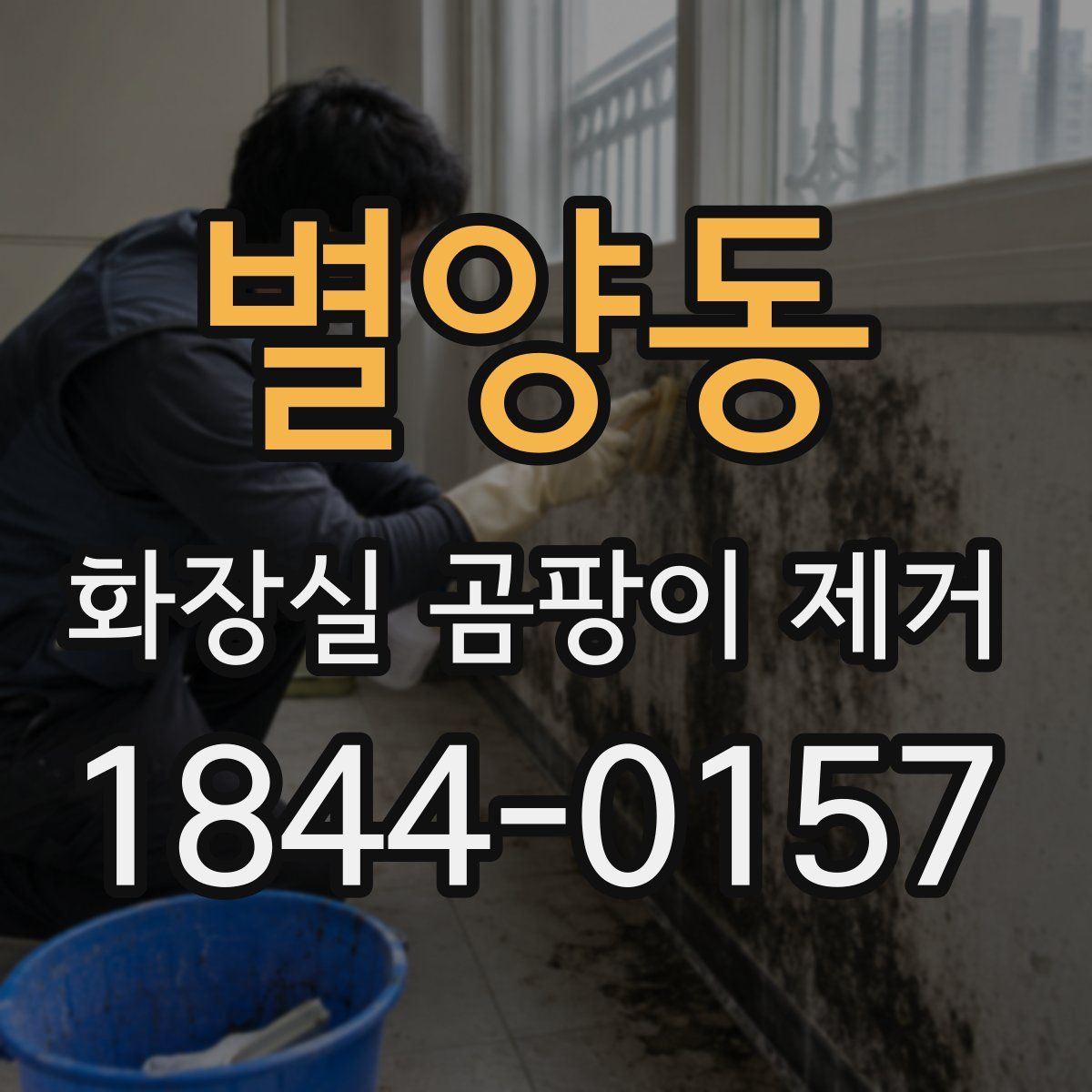 별양동 화장실 곰팡이 제거