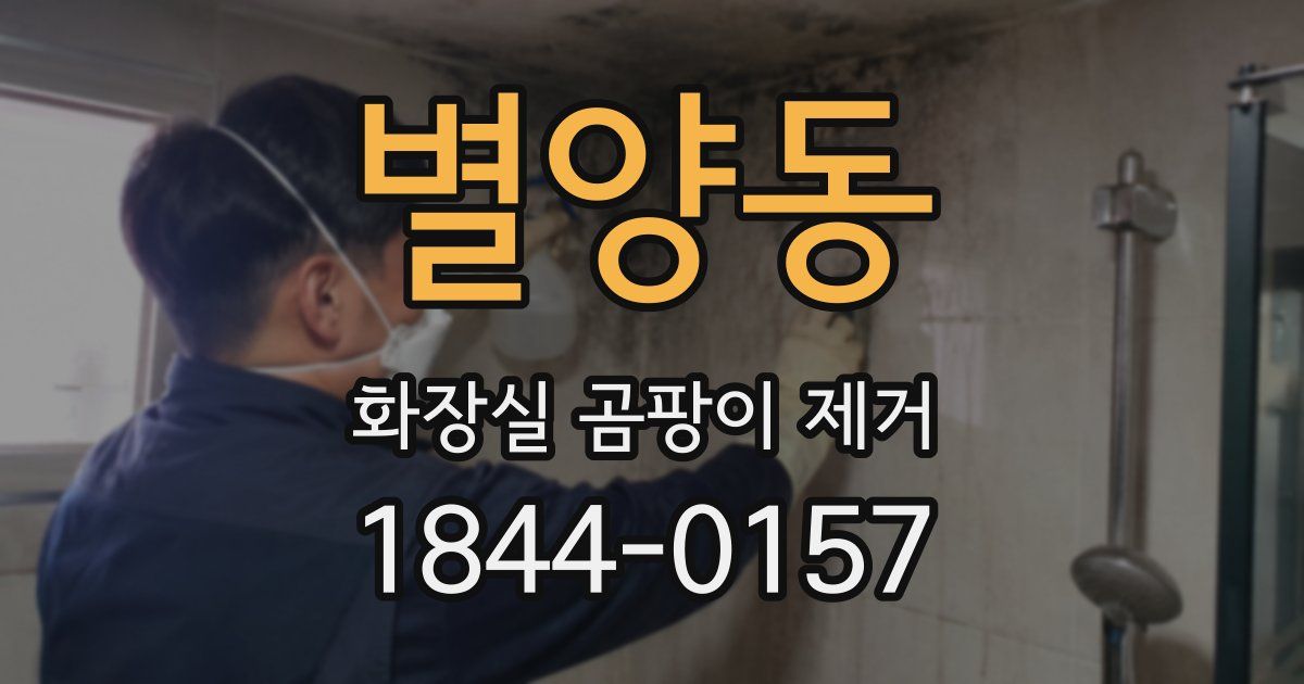 별양동 화장실 곰팡이 제거