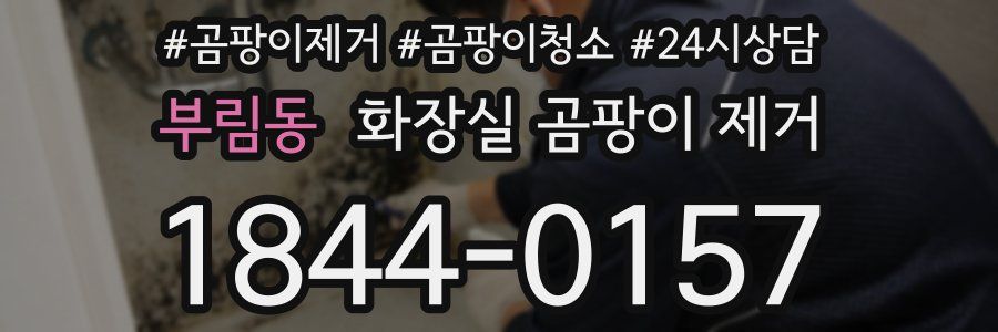 부림동 화장실 곰팡이 제거