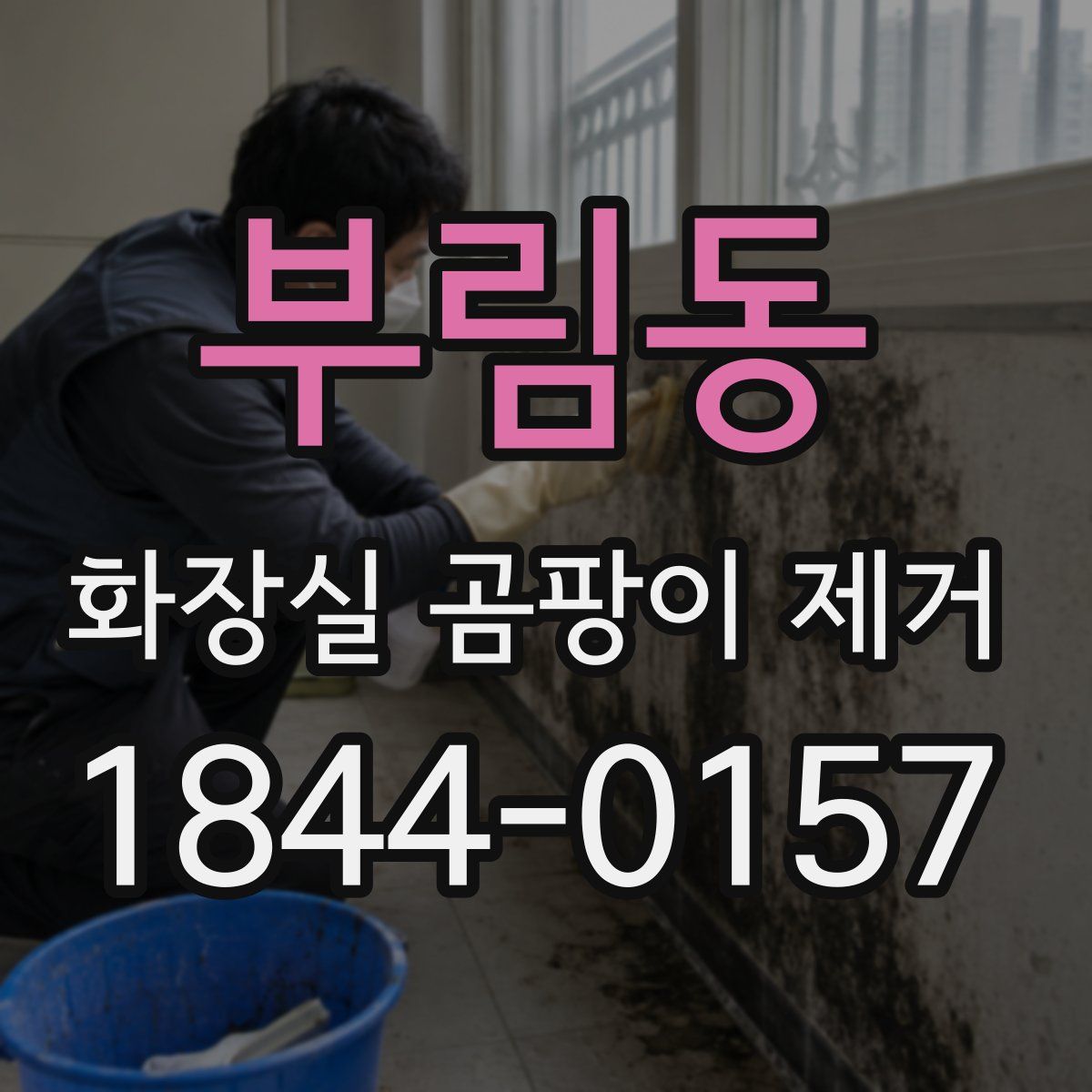 부림동 화장실 곰팡이 제거