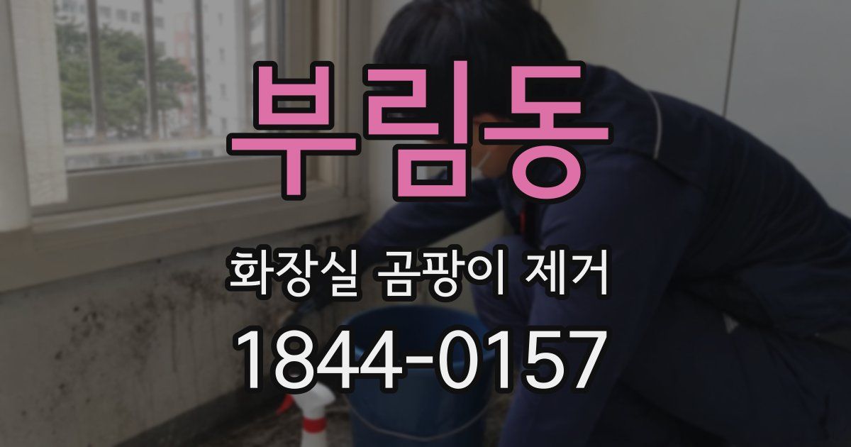 부림동 화장실 곰팡이 제거