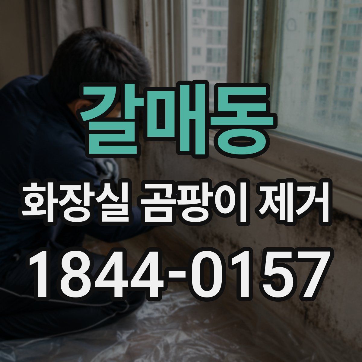 갈매동 화장실 곰팡이 제거