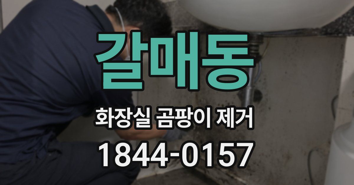 갈매동 화장실 곰팡이 제거
