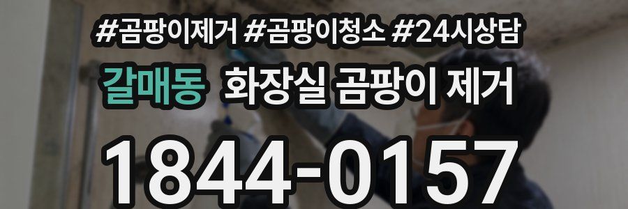 갈매동 화장실 곰팡이 제거