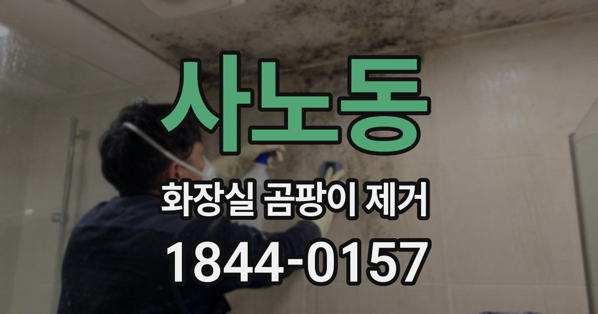 사노동 화장실 곰팡이 제거