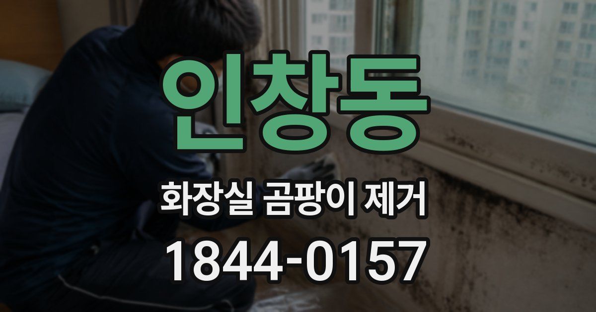 인창동 화장실 곰팡이 제거