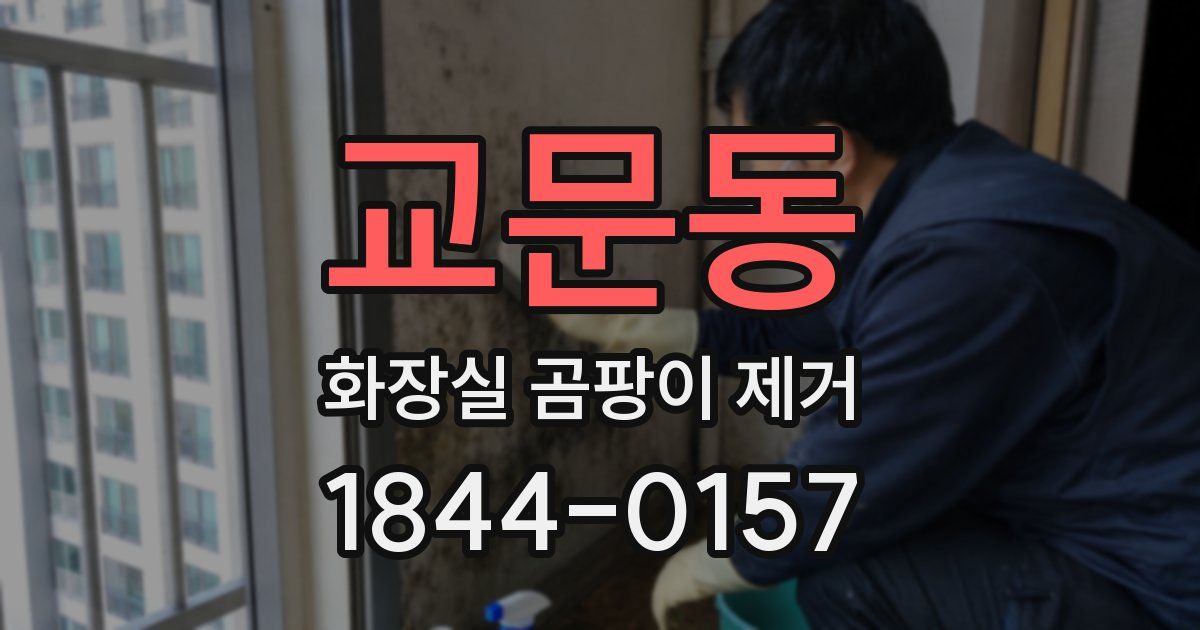 교문동 화장실 곰팡이 제거