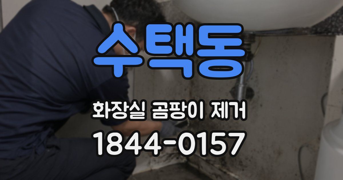 수택동 화장실 곰팡이 제거