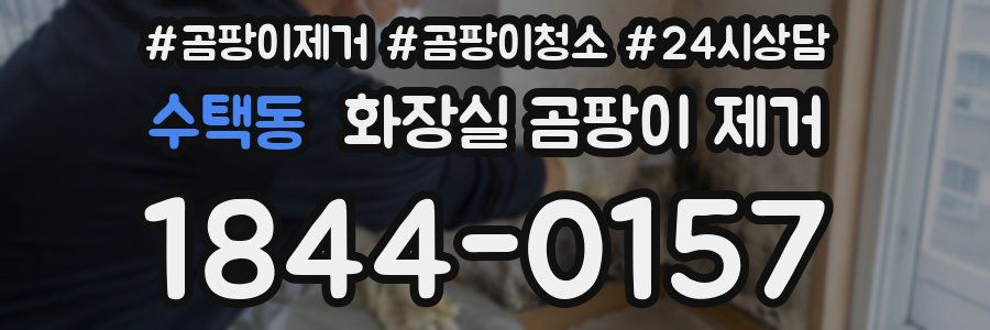 수택동 화장실 곰팡이 제거