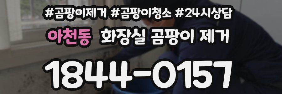 아천동 화장실 곰팡이 제거