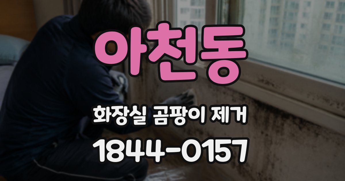 아천동 화장실 곰팡이 제거