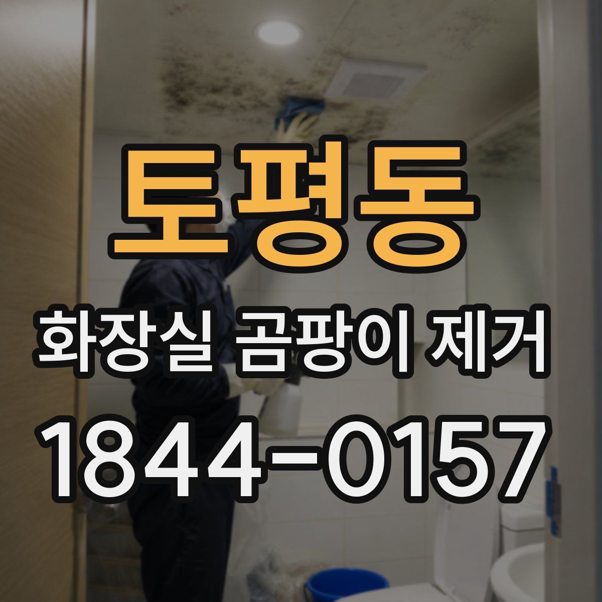 토평동 화장실 곰팡이 제거