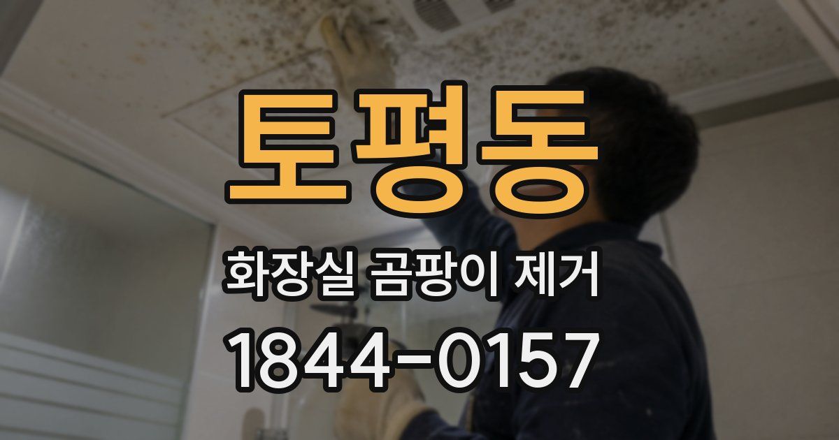 토평동 화장실 곰팡이 제거