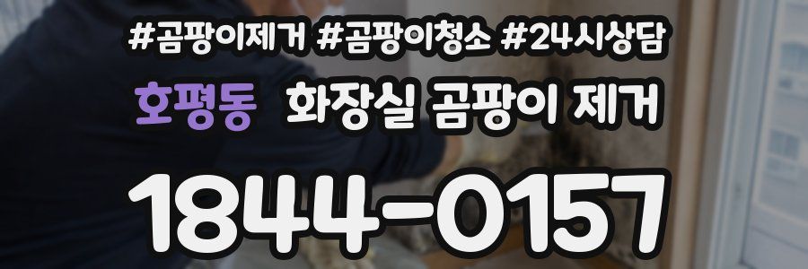 호평동 화장실 곰팡이 제거