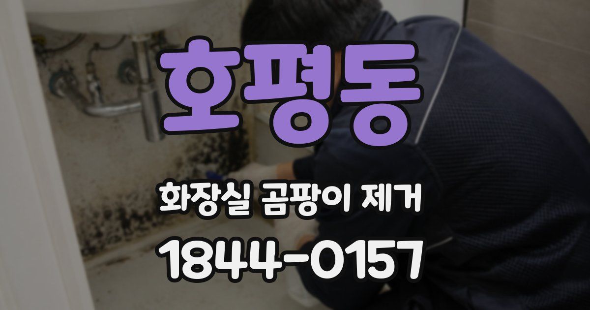 호평동 화장실 곰팡이 제거