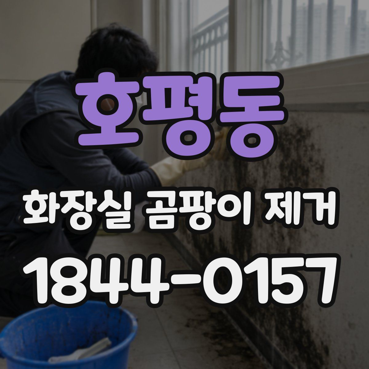 호평동 화장실 곰팡이 제거