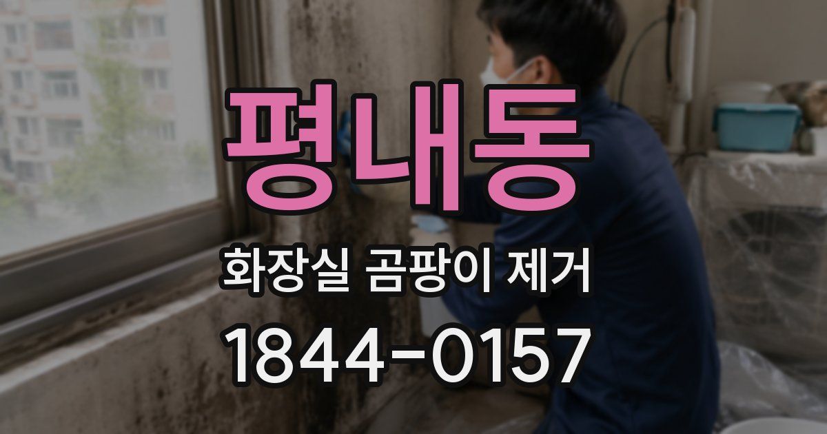 평내동 화장실 곰팡이 제거