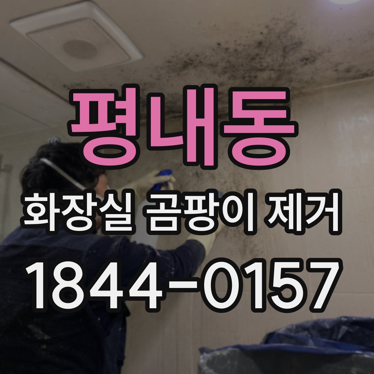 평내동 화장실 곰팡이 제거