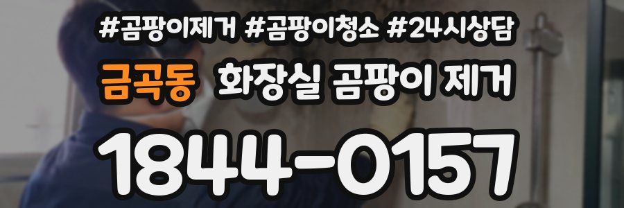 금곡동 화장실 곰팡이 제거