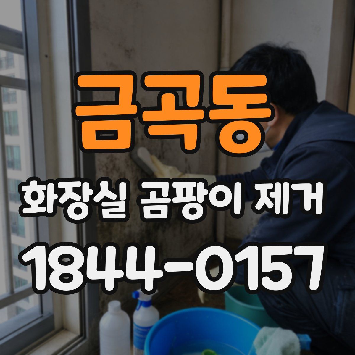 금곡동 화장실 곰팡이 제거