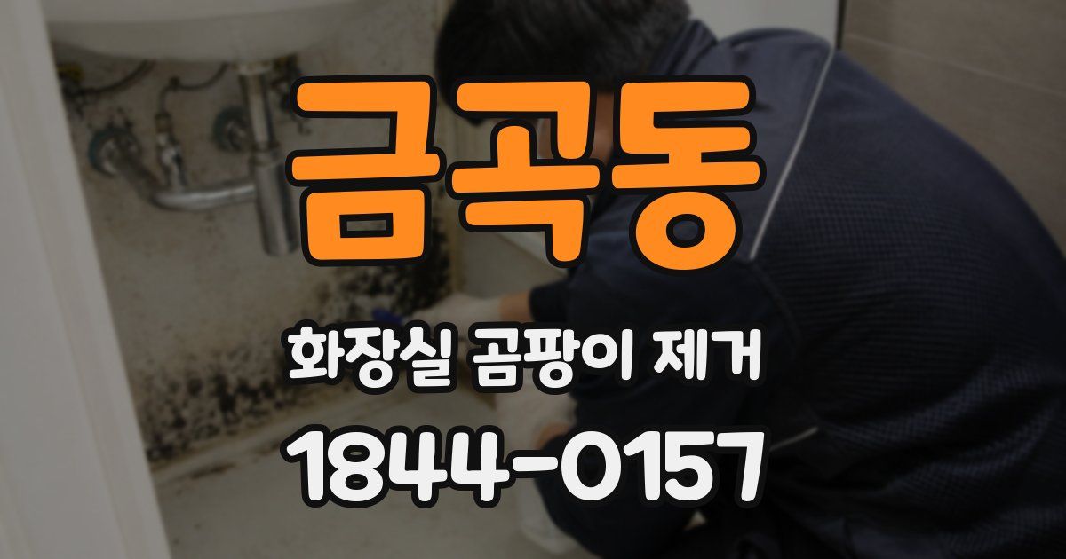 금곡동 화장실 곰팡이 제거