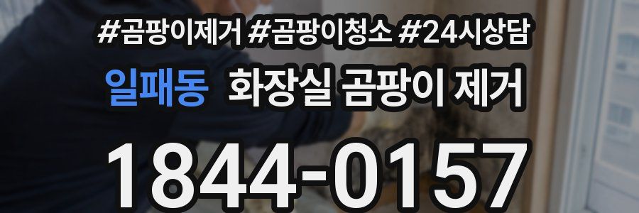 일패동 화장실 곰팡이 제거
