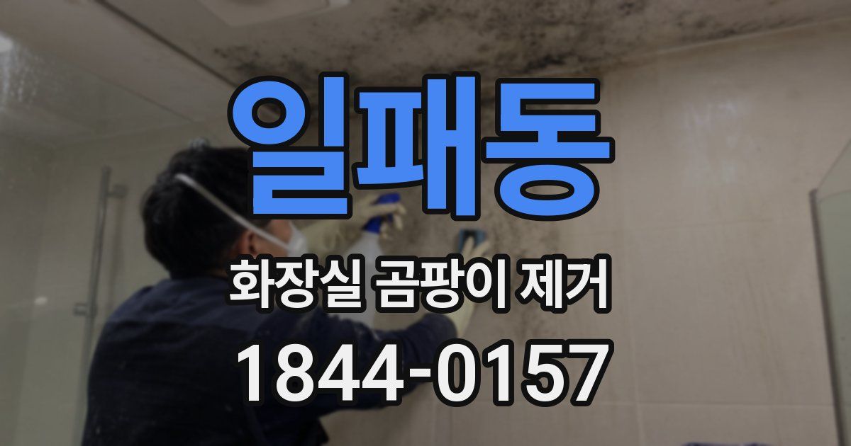 일패동 화장실 곰팡이 제거