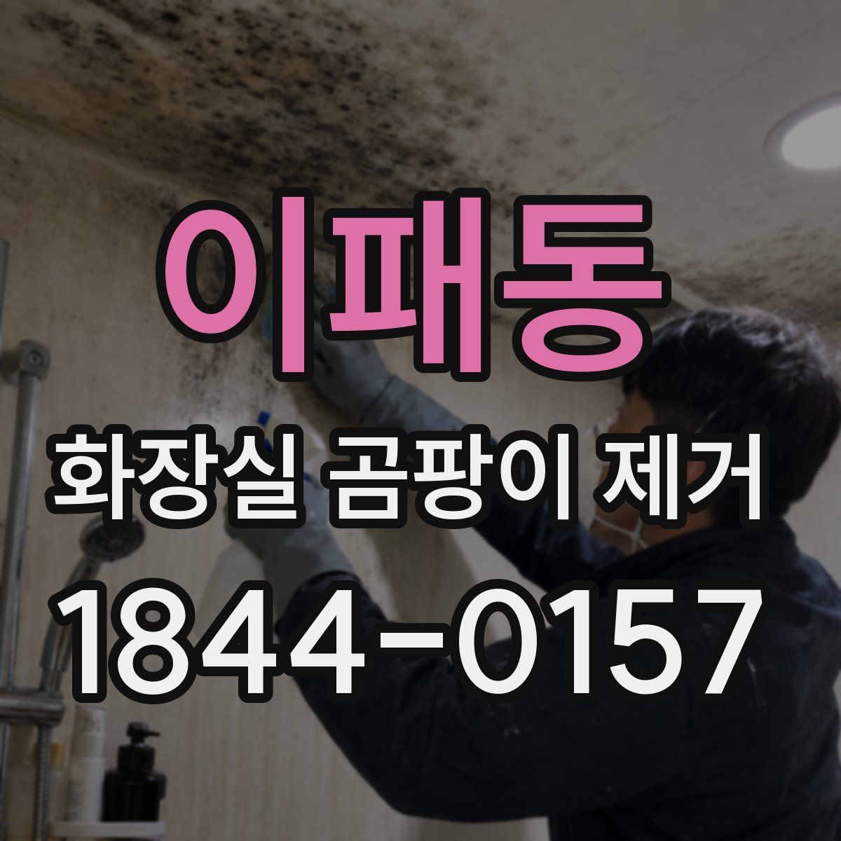 이패동 화장실 곰팡이 제거