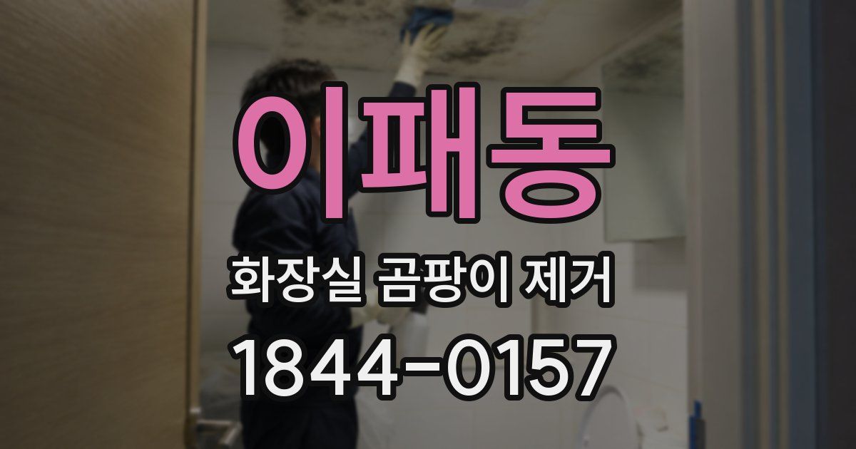 이패동 화장실 곰팡이 제거