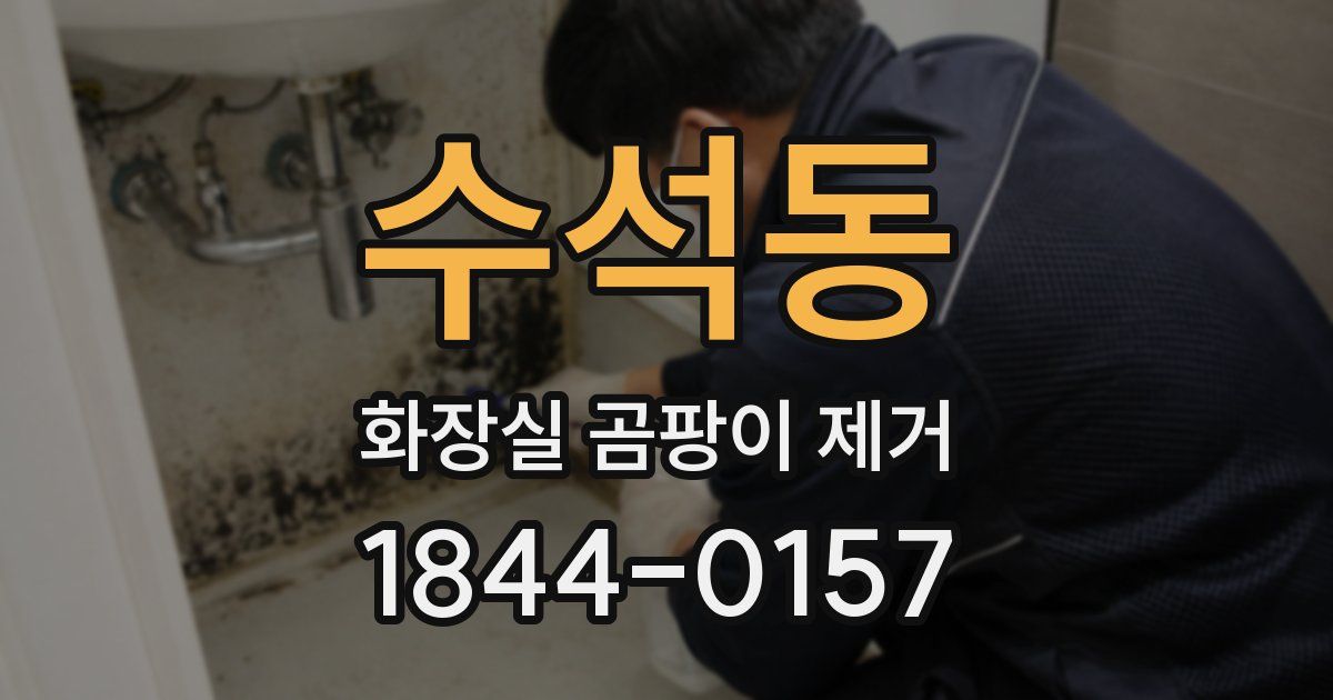 수석동 화장실 곰팡이 제거