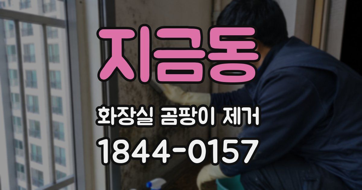 지금동 화장실 곰팡이 제거