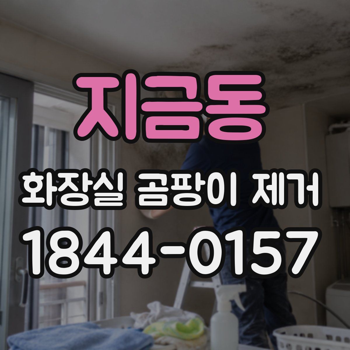 지금동 화장실 곰팡이 제거
