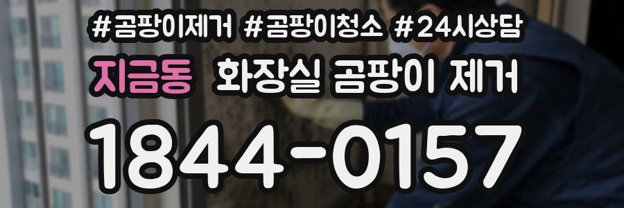 지금동 화장실 곰팡이 제거