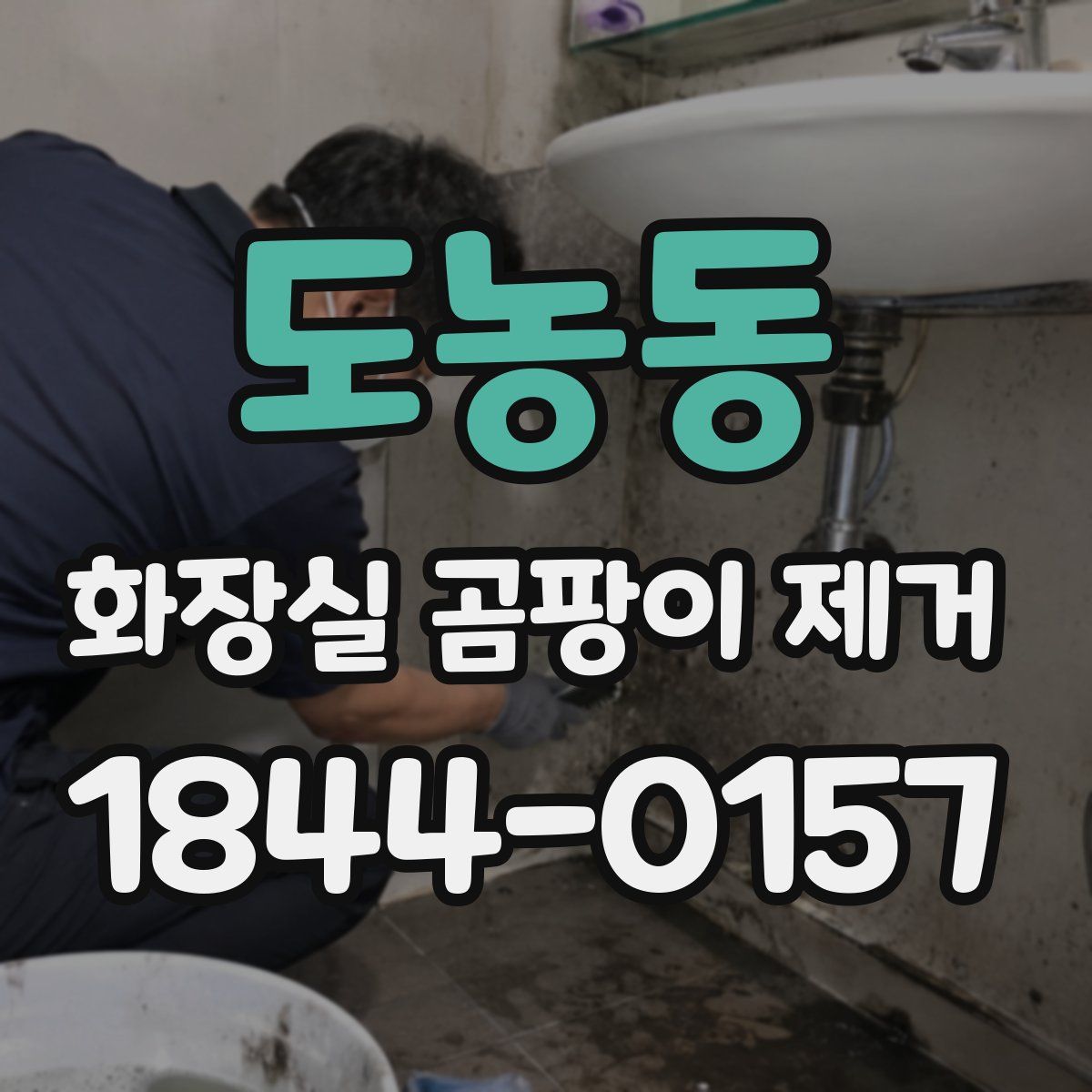도농동 화장실 곰팡이 제거
