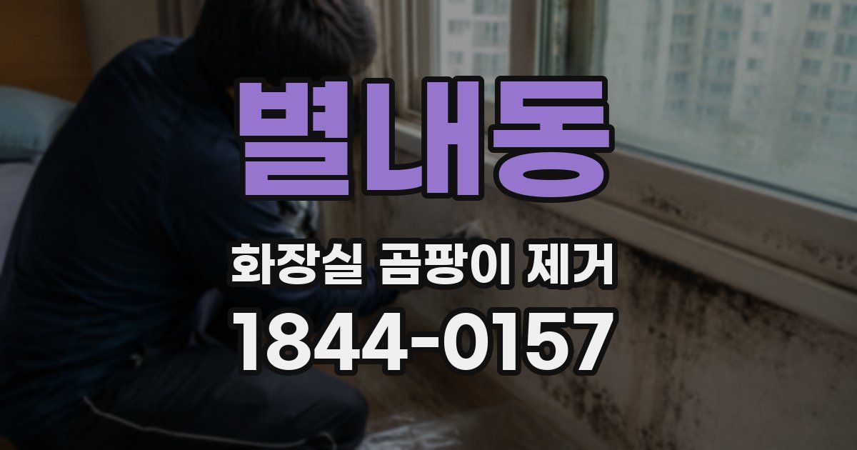 별내동 화장실 곰팡이 제거