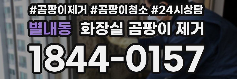 별내동 화장실 곰팡이 제거